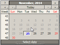 Magento Calendar Disable Past Dates